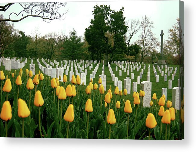 Arlington Acrylic Print featuring the photograph Life and Death at Arlington by Jame Hayes