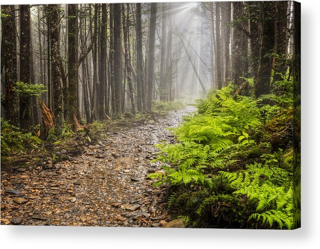 Trail Acrylic Print featuring the photograph Light Beams by Debra and Dave Vanderlaan