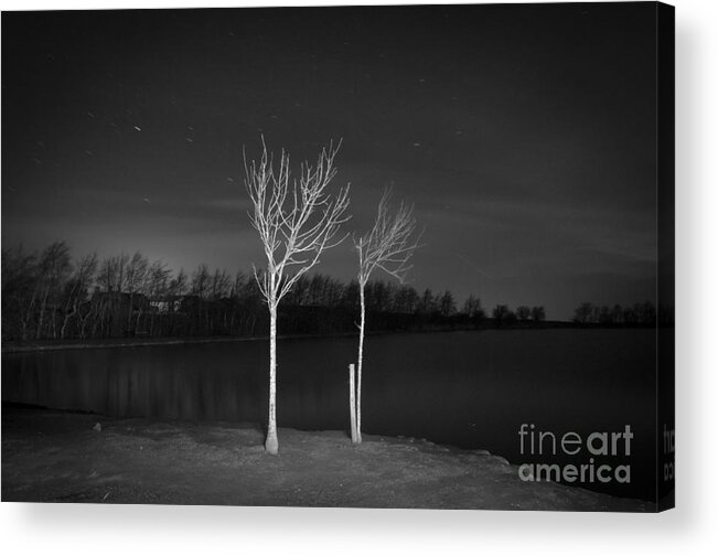 Airedale Acrylic Print featuring the photograph Light painting BW by Mariusz Talarek
