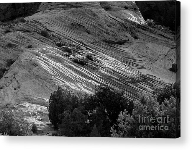 Utah Acrylic Print featuring the photograph Light Painting by Jim Garrison