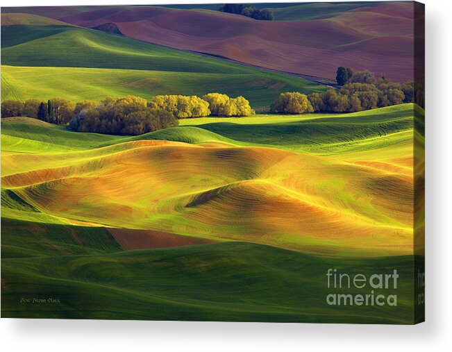 Butte Acrylic Print featuring the photograph Light Play by Beve Brown-Clark Photography