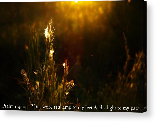 Psalm Acrylic Print featuring the photograph Light to my Path by Roberto Aloi