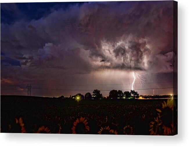 Sunflowers; Fields; Lightning; Lightening; Chasers; Lightning Poster; Lightning Photography; Lightning Gallery; Picture Of Lightning; Lightning Storm Pictures; Lightning Photos Colorado; Pictures Of Storm Clouds And Lightning; Lightning Art; Lightnen Acrylic Print featuring the photograph Lightning Stormy Weather of Sunflowers by James BO Insogna