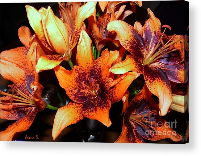Still Life Acrylic Print featuring the photograph Lilies In the shadow by Jasna Dragun