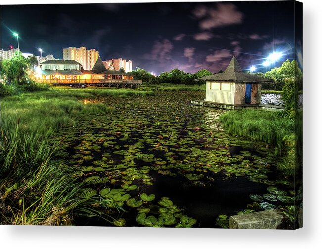 Panama City Beach Acrylic Print featuring the photograph Lilly Pads on the Pond by Daryl Clark