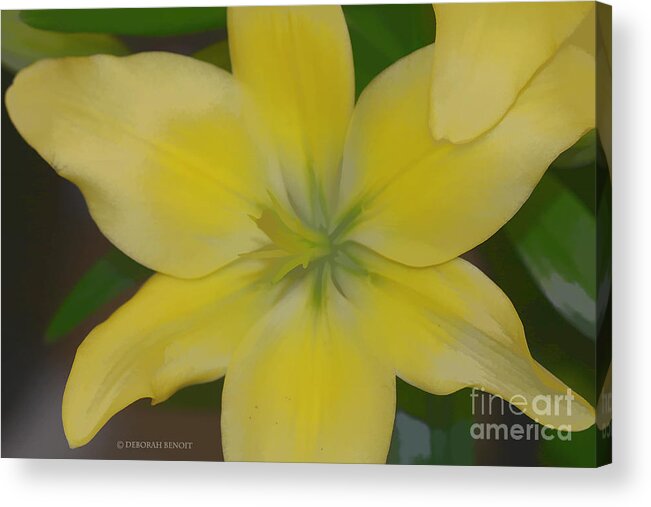 Lilly Acrylic Print featuring the photograph Lilly With Artistic Beauty by Deborah Benoit