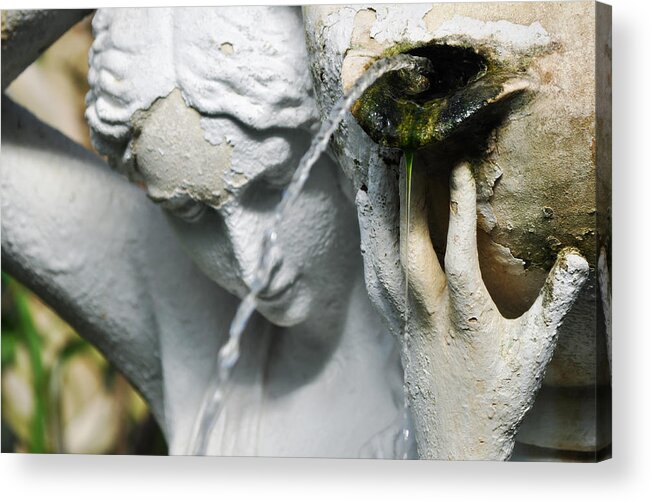 Lincoln Park Conservatory Acrylic Print featuring the photograph Lincoln Park Conservatory Fountain by Kyle Hanson