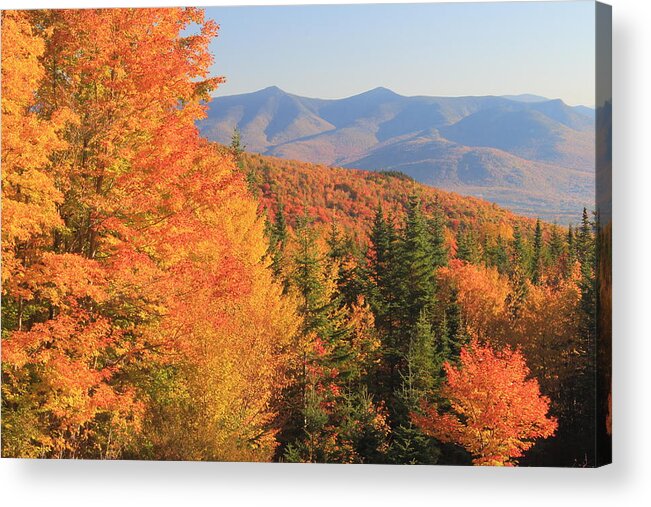 New Hampshire Acrylic Print featuring the photograph Lincoln Warren Road White Mountains Peak Fall Foliage by John Burk