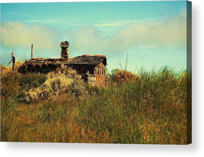 House Acrylic Print featuring the photograph Little House on the Prairie by HweeYen Ong