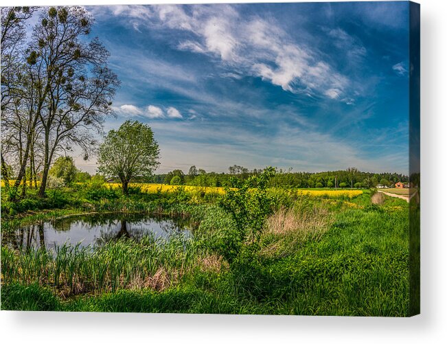 Field Acrylic Print featuring the photograph Little pond near a rapeseed field by Dmytro Korol