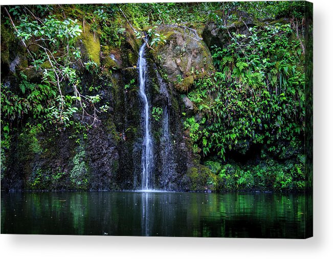 Hawaii Acrylic Print featuring the photograph Little Waterfall by Daniel Murphy