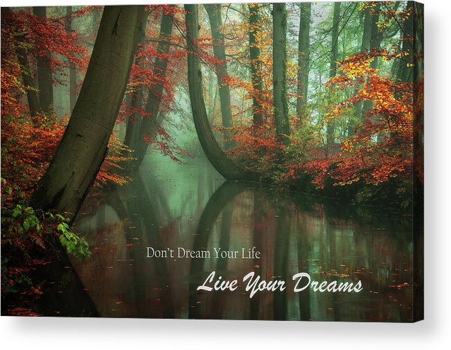 Forest Acrylic Print featuring the photograph Live Your Dreams by Martin Podt