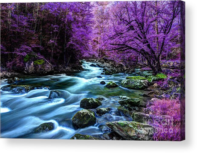 River Scene Acrylic Print featuring the photograph Living In Yesterday's Dream by Michael Eingle