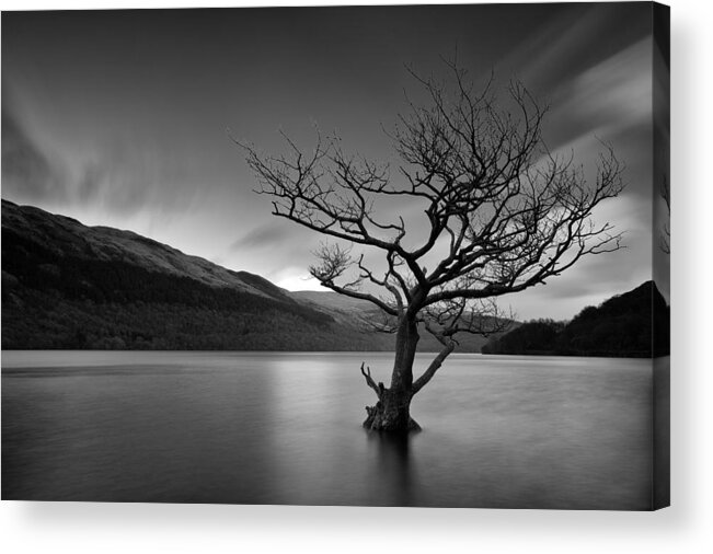 Loch Lomond Acrylic Print featuring the photograph Loch Tree by Grant Glendinning