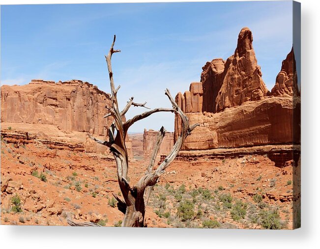 Red Rock Acrylic Print featuring the photograph Lone Tree by Christy Pooschke