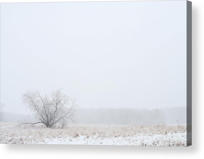 Winter Acrylic Print featuring the photograph Lonely by Monroe Payne