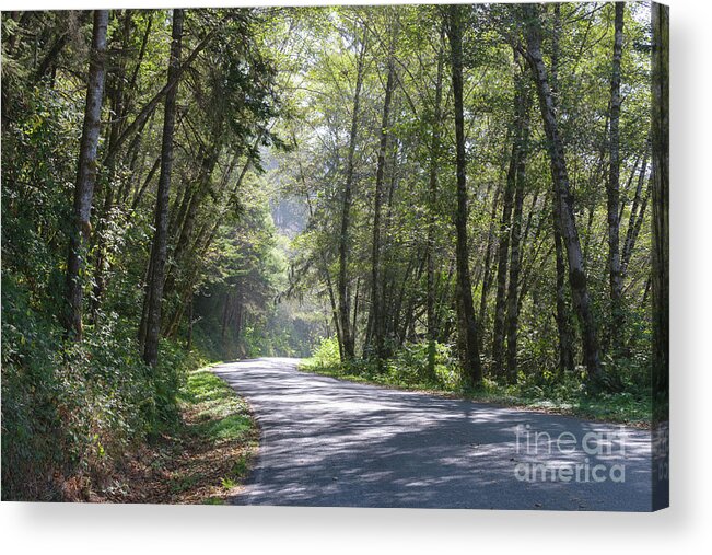 Road Acrylic Print featuring the photograph Lonely Road on the North Coast by Jeff Hubbard