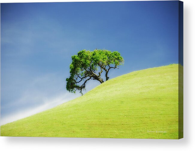 Castle Rock Park Acrylic Print featuring the photograph Lonely Summer by Donna Blackhall