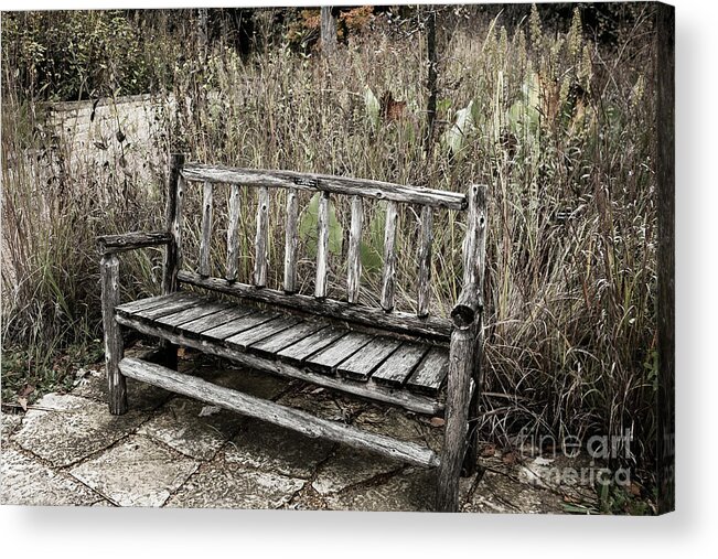 Tinas Captured Moments Acrylic Print featuring the photograph Lonely by Tina Hailey