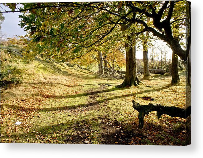 Scotland Acrylic Print featuring the photograph Long shadows of the afternoon by Elena Perelman