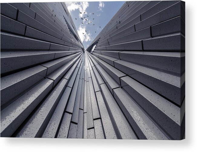 Architect Acrylic Print featuring the photograph Look Birds by Marcus Karlsson Sall