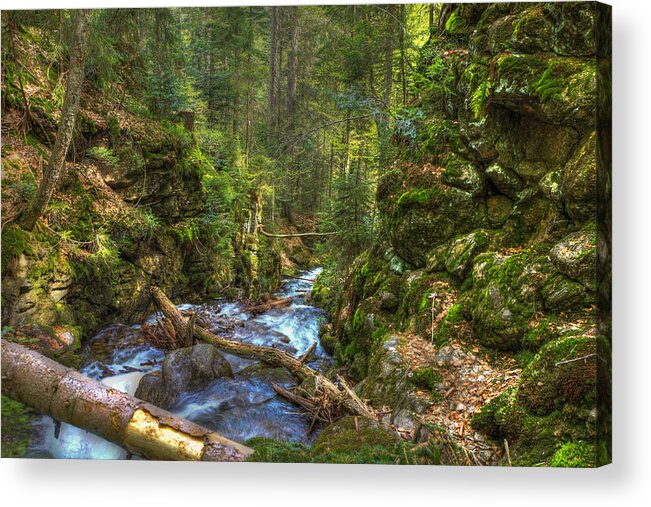 Mountain Acrylic Print featuring the photograph Looking Down the Gorge by Sean Allen