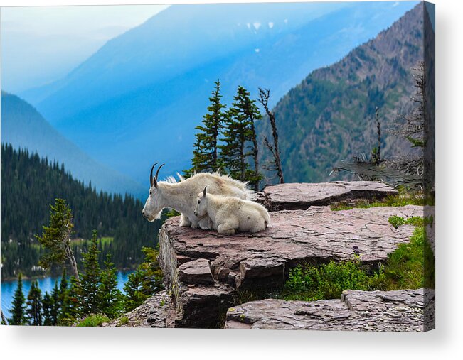 Glacier Acrylic Print featuring the photograph Lookout Ledge by Joseph Rossbach