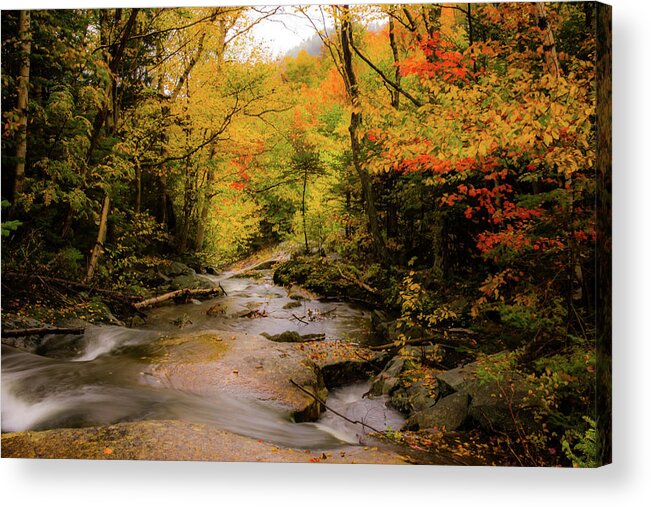 #jefffolger Acrylic Print featuring the photograph Lost River Fall Colors by Jeff Folger