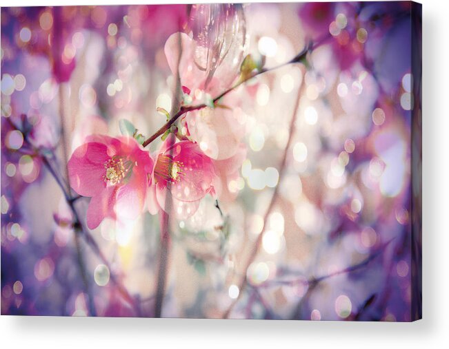 Flowers Acrylic Print featuring the photograph Love Song by Toni Hopper