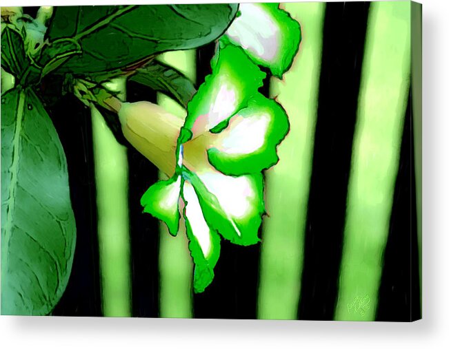 Bruce Acrylic Print featuring the painting Loving the Color Green by Bruce Nutting