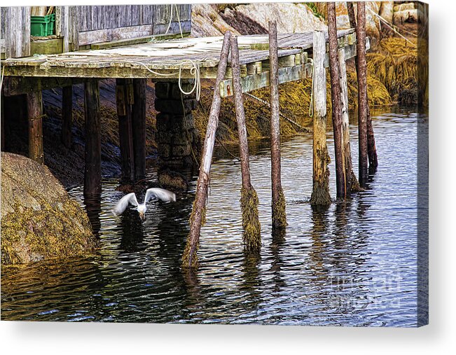 Wharf Acrylic Print featuring the photograph Low Tide at Peggy's Cove 8 by Tatiana Travelways