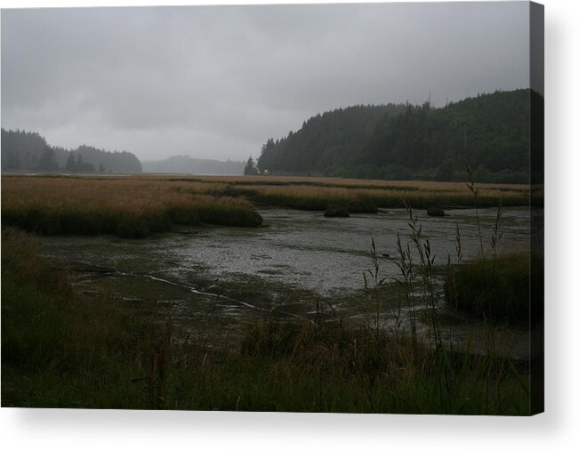Low Tide Mist Willapa Acrylic Print featuring the photograph Lowtide Mist Willapa by Dylan Punke