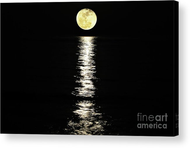 Moon Reflection Acrylic Print featuring the photograph Lunar Lane by Al Powell Photography USA