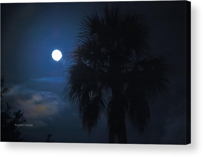 Lunar Acrylic Print featuring the photograph Lunar Palm by DigiArt Diaries by Vicky B Fuller