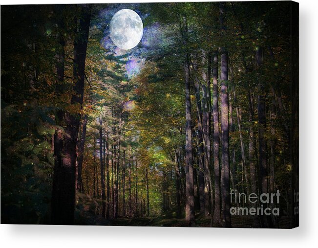 Moon Acrylic Print featuring the photograph Magical Moonlit Forest by Judy Palkimas