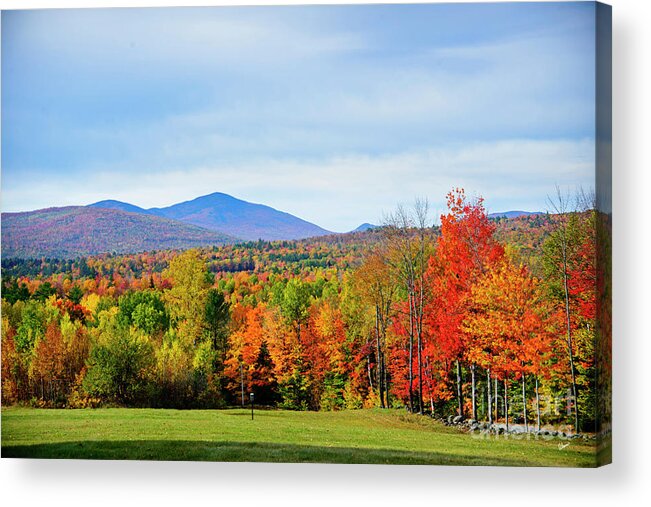 Strong Acrylic Print featuring the photograph Maine Fall by Alana Ranney