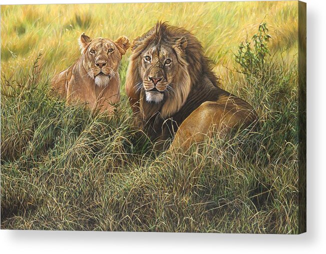 Wildlife Paintings Acrylic Print featuring the painting Male and Female Lion by Alan M Hunt