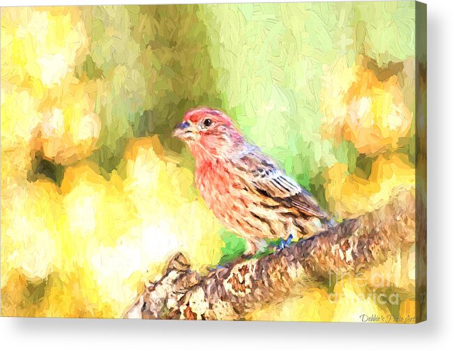Finch Acrylic Print featuring the photograph Male House Finch - Digital Paint by Debbie Portwood