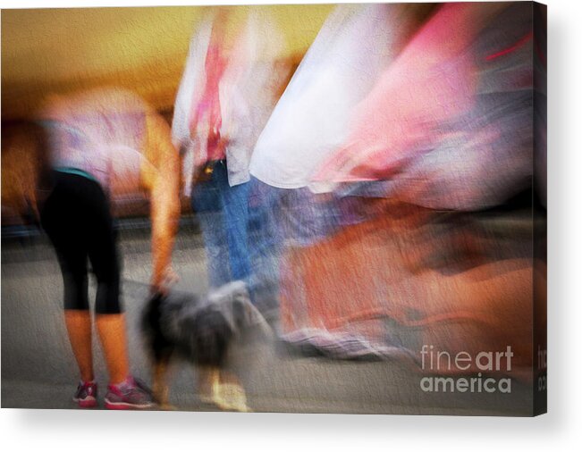 People Acrylic Print featuring the photograph Woman Playing With Dog by Sal Ahmed