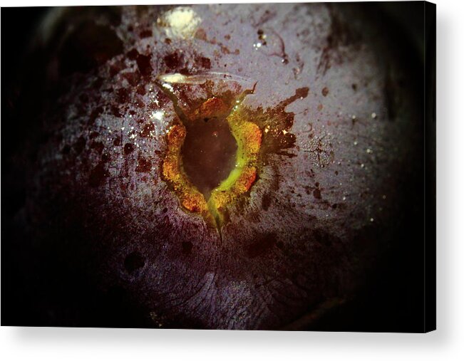 Grape Acrylic Print featuring the photograph Manfred's Sphincter by Kreddible Trout