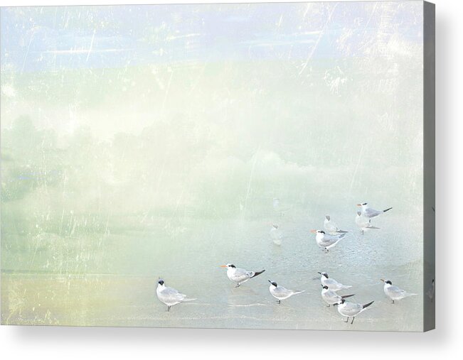 Marco Island Acrylic Print featuring the photograph Marco Morning by Karen Lynch