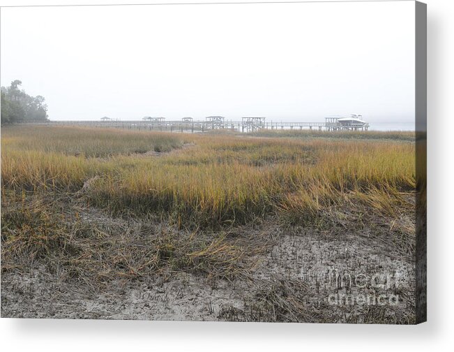 Marsh Acrylic Print featuring the photograph Marsh Grass Fog by Dale Powell