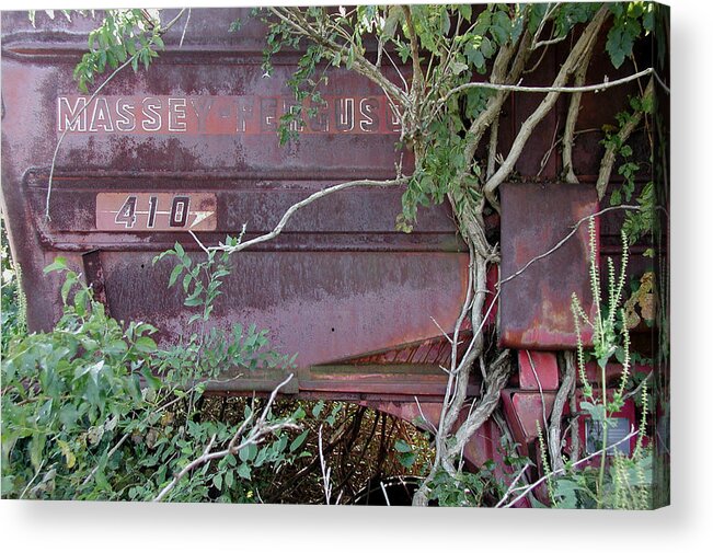 Massey Furguson Acrylic Print featuring the photograph Massey - Under Seige by DArcy Evans