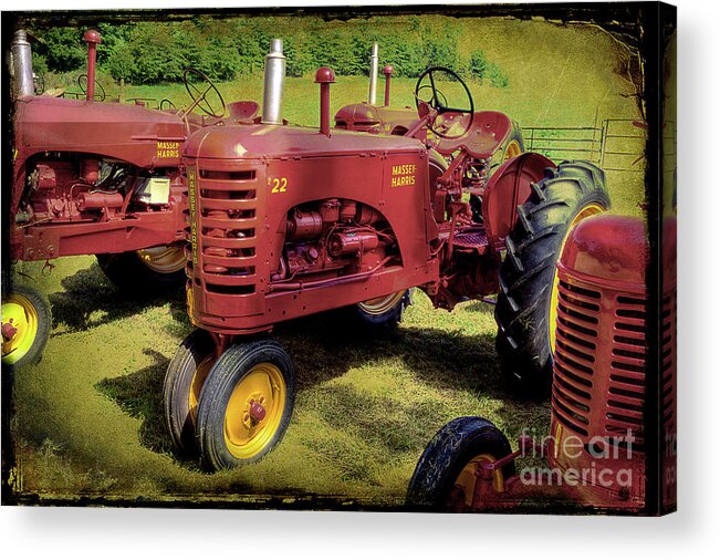 Massey Harris Tractors Acrylic Print featuring the photograph Massey Harris by Michael Eingle