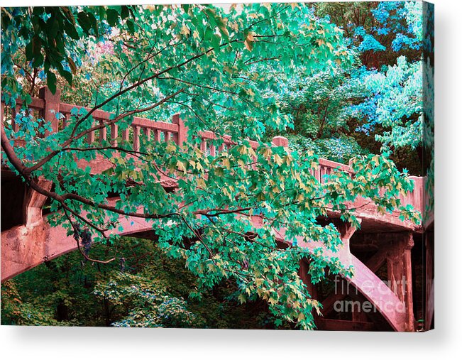 Alan Look Acrylic Print featuring the photograph Matthiessen State Park Bridge False Color Infrared No 1 by Alan Look