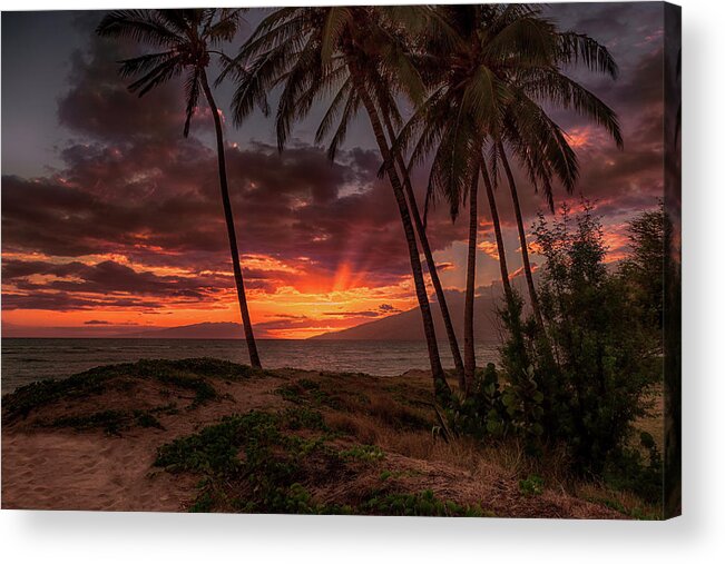 Sunset Acrylic Print featuring the photograph Maui Sunset 1 by Susan Rissi Tregoning