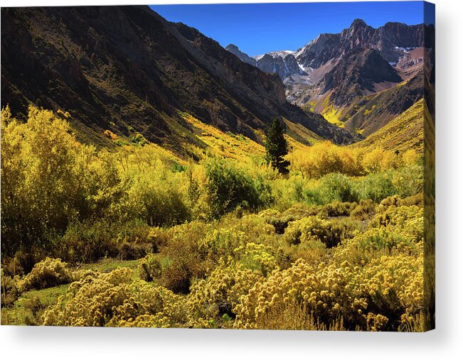 Af Zoom 24-70mm F/2.8g Acrylic Print featuring the photograph McGee Creek Alive with Color by John Hight