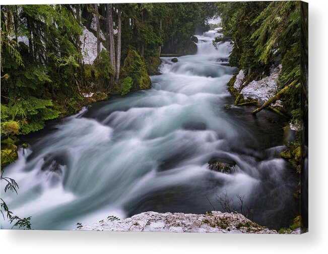 River Acrylic Print featuring the photograph McKenzie River by Cat Connor