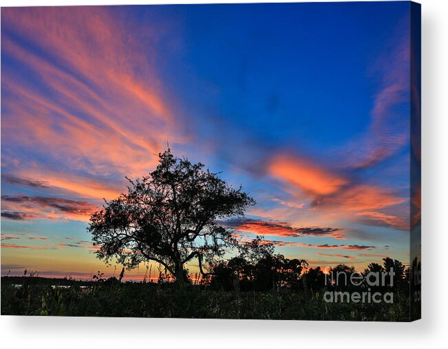 Landscape Acrylic Print featuring the photograph Meditate by Mina Isaac