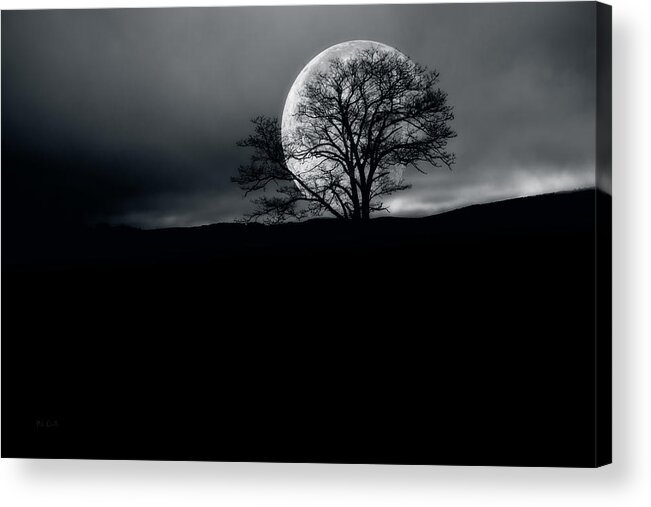 Landscape Acrylic Print featuring the photograph Memory of Trees Part Three by Bob Orsillo